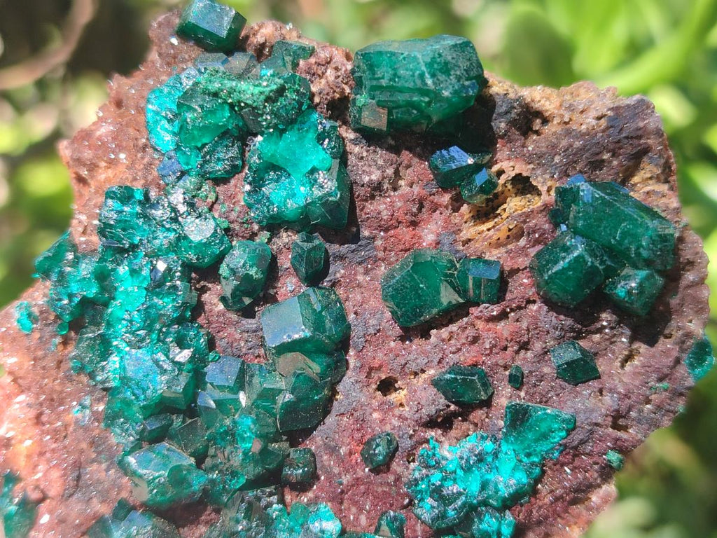 Natural Dioptase Specimens on Dolomite Matrix x 3 From Tantara Mine, Congo - Toprock Gemstones and Minerals 