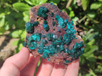 Natural Dioptase Specimens on Dolomite Matrix x 3 From Tantara Mine, Congo - Toprock Gemstones and Minerals 