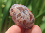 Polished and Natural Shashe River Agate Free Forms x 20 From Shashe River, Zimbabwe - Toprock Gemstones and Minerals 