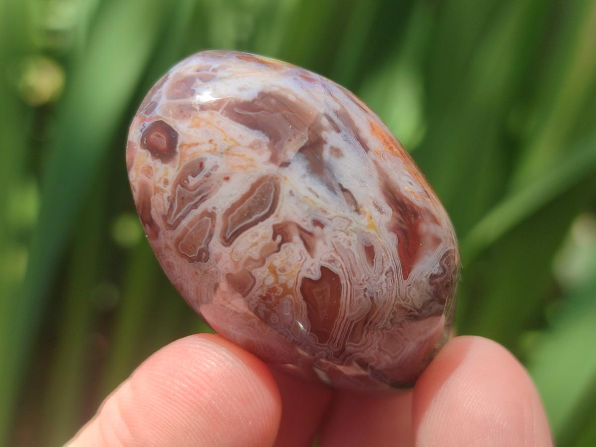 Polished and Natural Shashe River Agate Free Forms x 20 From Shashe River, Zimbabwe - Toprock Gemstones and Minerals 