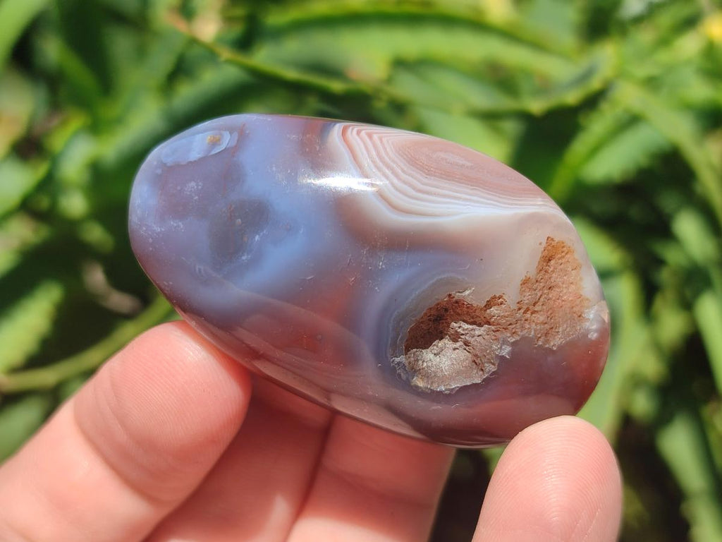 Polished and Natural Shashe River Agate Free Forms x 20 From Shashe River, Zimbabwe - Toprock Gemstones and Minerals 