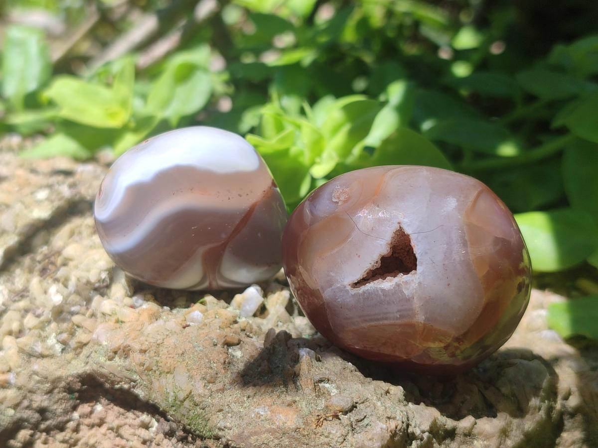 Polished and Natural Shashe River Agate Free Forms x 20 From Shashe River, Zimbabwe - Toprock Gemstones and Minerals 