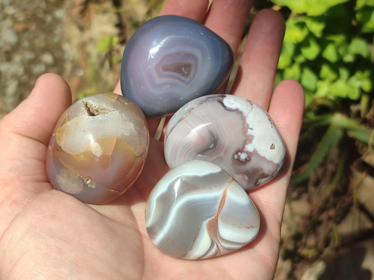 Polished and Natural Shashe River Agate Free Forms x 20 From Shashe River, Zimbabwe - Toprock Gemstones and Minerals 