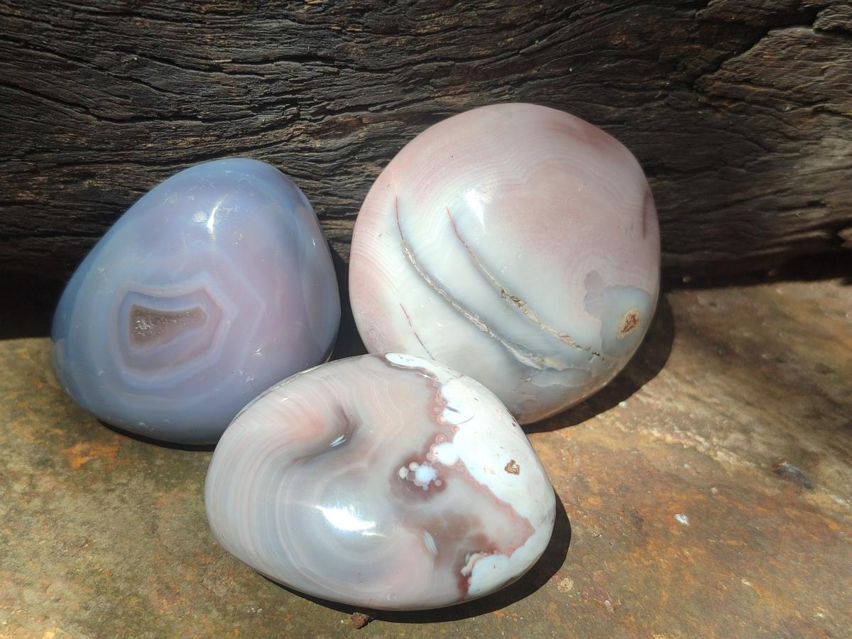 Polished and Natural Shashe River Agate Free Forms x 20 From Shashe River, Zimbabwe - Toprock Gemstones and Minerals 