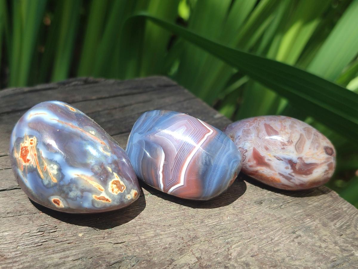 Polished and Natural Shashe River Agate Free Forms x 20 From Shashe River, Zimbabwe - Toprock Gemstones and Minerals 