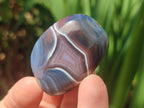 Polished and Natural Shashe River Agate Free Forms x 20 From Shashe River, Zimbabwe - Toprock Gemstones and Minerals 