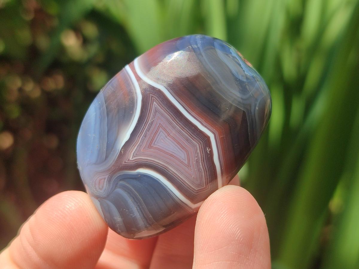 Polished and Natural Shashe River Agate Free Forms x 20 From Shashe River, Zimbabwe - Toprock Gemstones and Minerals 
