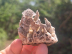 Natural Rhomboherdral and Spearhead Calcite Specimens x 24 From Albert's Mountain, Lesotho - Toprock Gemstones and Minerals 