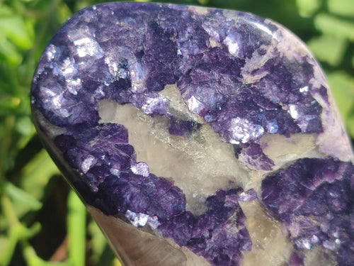 Polished Large Silver Leaf Lepidolite Standing Display Pieces x 6 From Zimbabwe - Toprock Gemstones and Minerals 