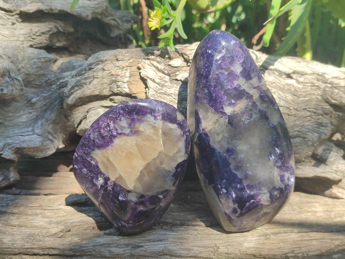 Polished Large Silver Leaf Lepidolite Standing Display Pieces x 6 From Zimbabwe - Toprock Gemstones and Minerals 