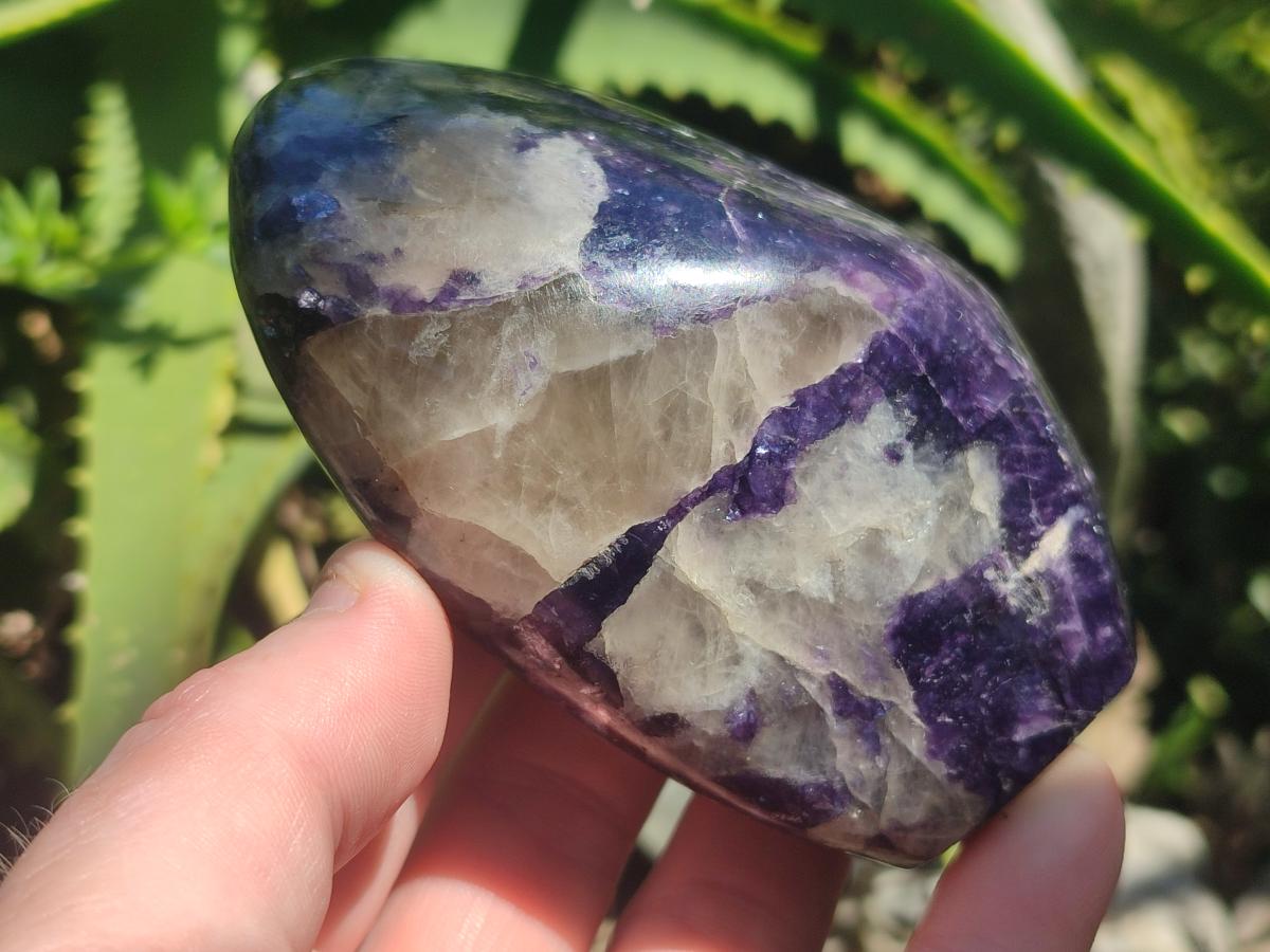 Polished Large Silver Leaf Lepidolite Standing Display Pieces x 6 From Zimbabwe - Toprock Gemstones and Minerals 