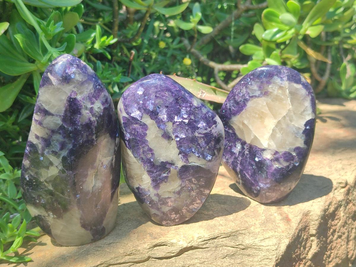 Polished Large Silver Leaf Lepidolite Standing Display Pieces x 6 From Zimbabwe - Toprock Gemstones and Minerals 