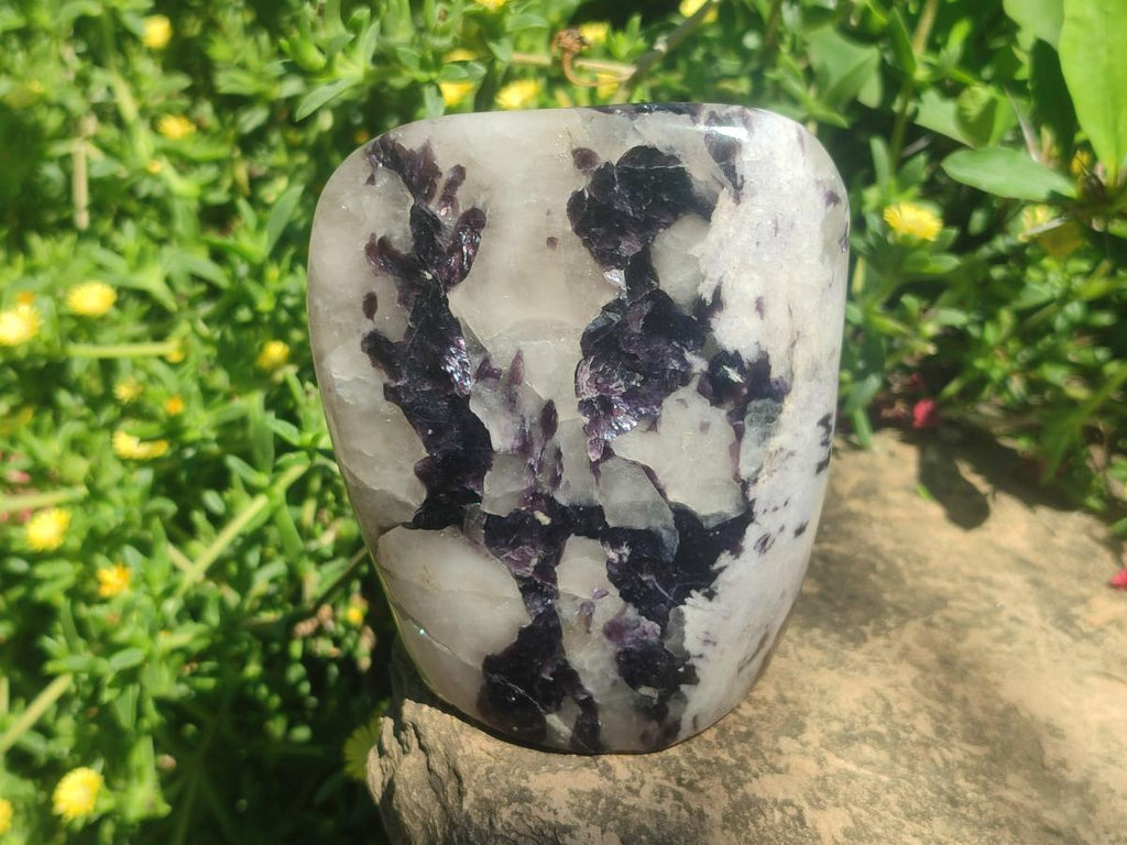 Polished Large Silver Leaf Lepidolite Standing Display Pieces x 6 From Zimbabwe - Toprock Gemstones and Minerals 