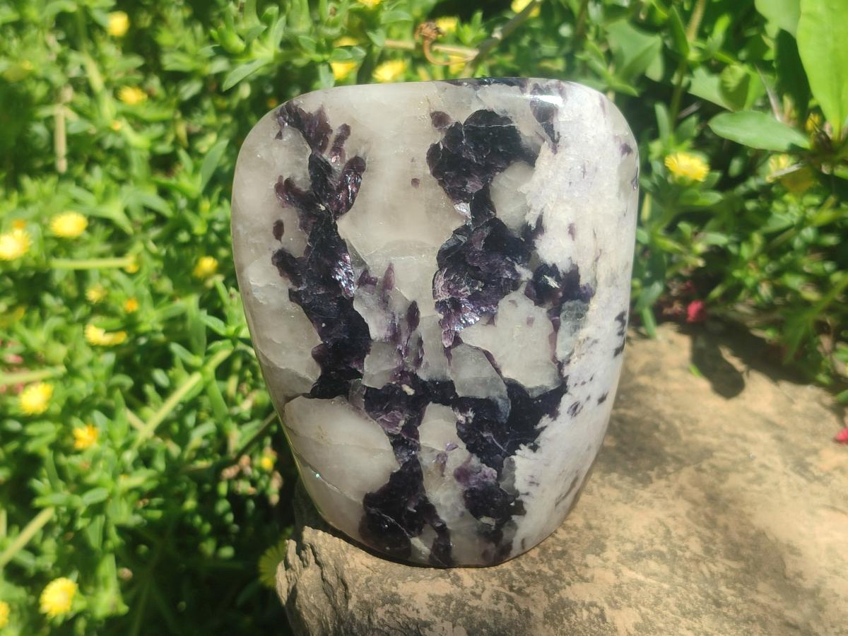 Polished Large Silver Leaf Lepidolite Standing Display Pieces x 6 From Zimbabwe - Toprock Gemstones and Minerals 