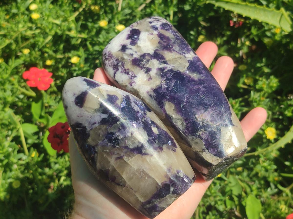 Polished Large Silver Leaf Lepidolite Standing Display Pieces x 6 From Zimbabwe - Toprock Gemstones and Minerals 