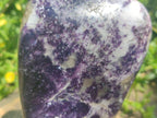 Polished Large Silver Leaf Lepidolite Standing Display Pieces x 6 From Zimbabwe - Toprock Gemstones and Minerals 