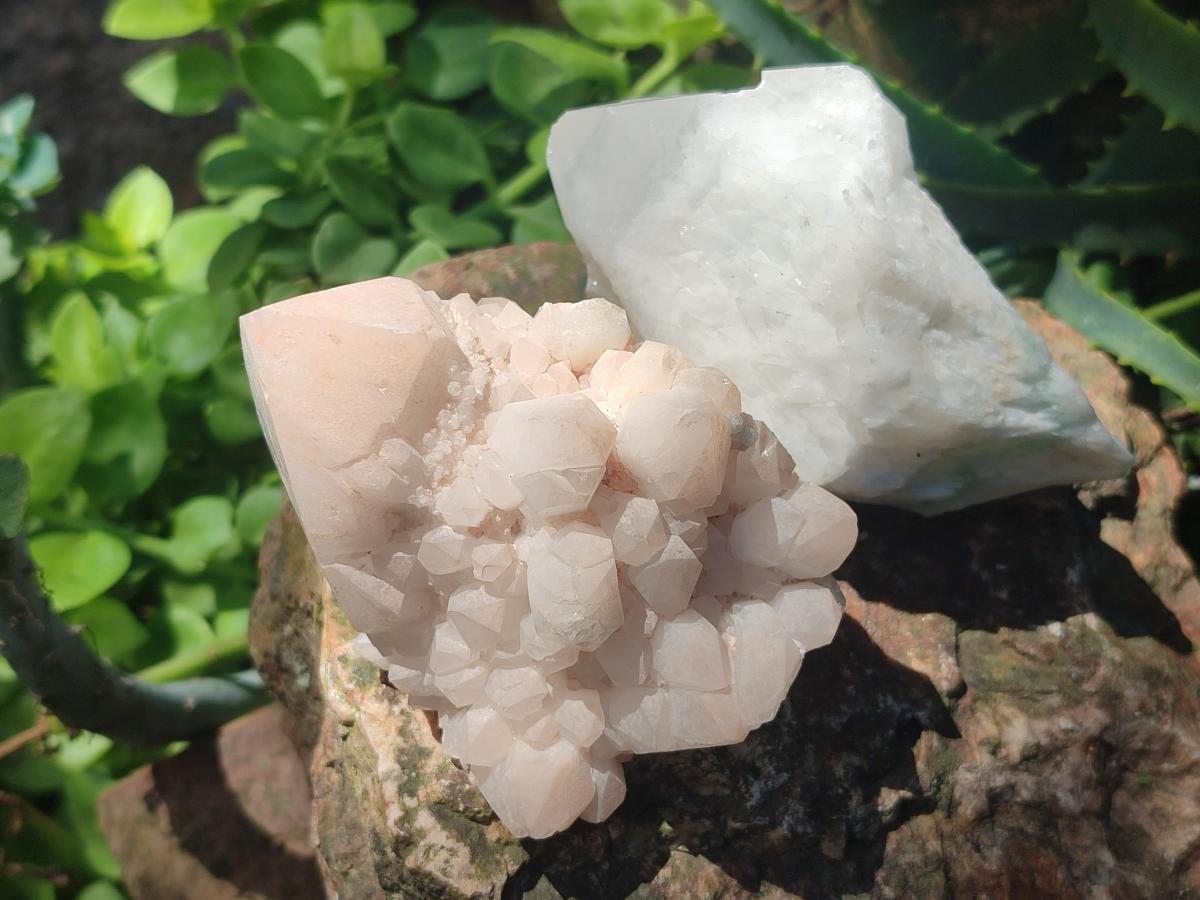 Natural Cascading "Anananas" Candle Quartz Clusters x 12 From Antsirabe, Madagascar - Toprock Gemstones and Minerals 