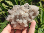 Natural Cascading "Anananas" Candle Quartz Clusters x 12 From Antsirabe, Madagascar - Toprock Gemstones and Minerals 