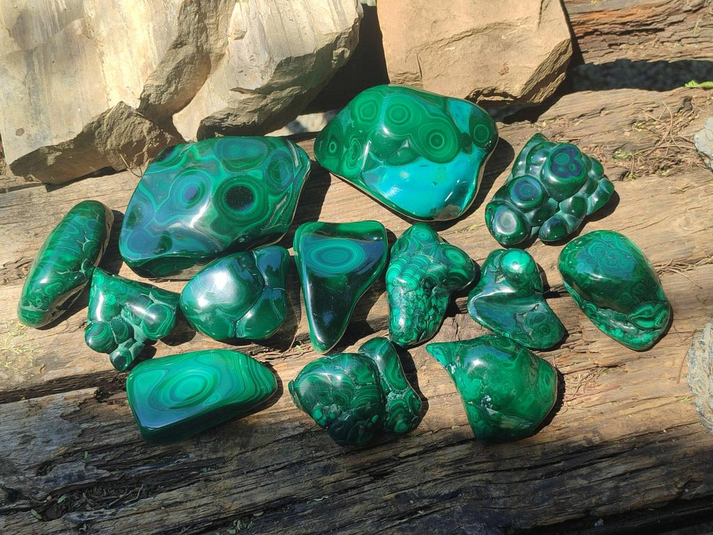 Polished and Natural Flower Banded Malachite Free Forms x 13 From Congo - Toprock Gemstones and Minerals 