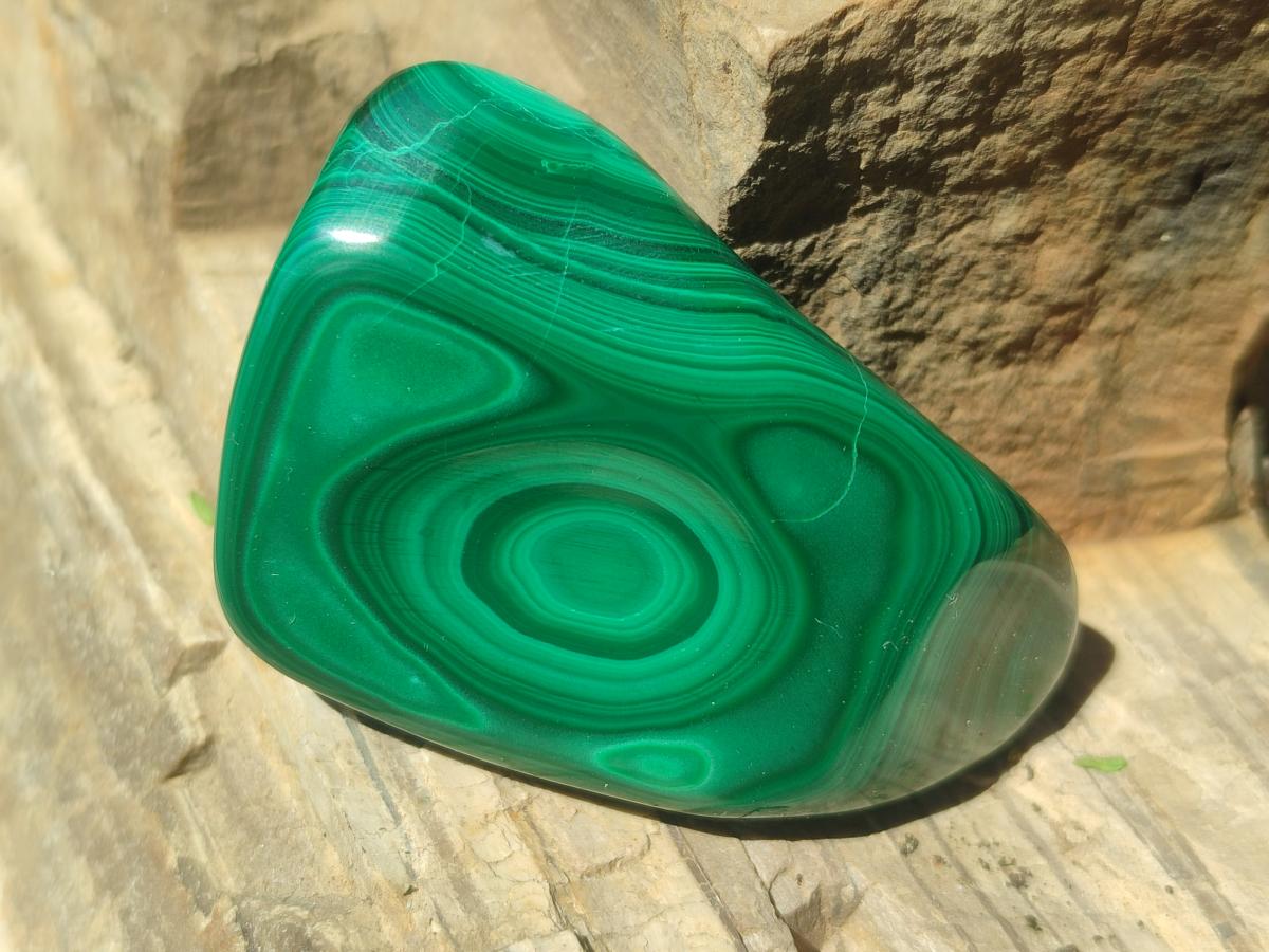 Polished and Natural Flower Banded Malachite Free Forms x 13 From Congo - Toprock Gemstones and Minerals 