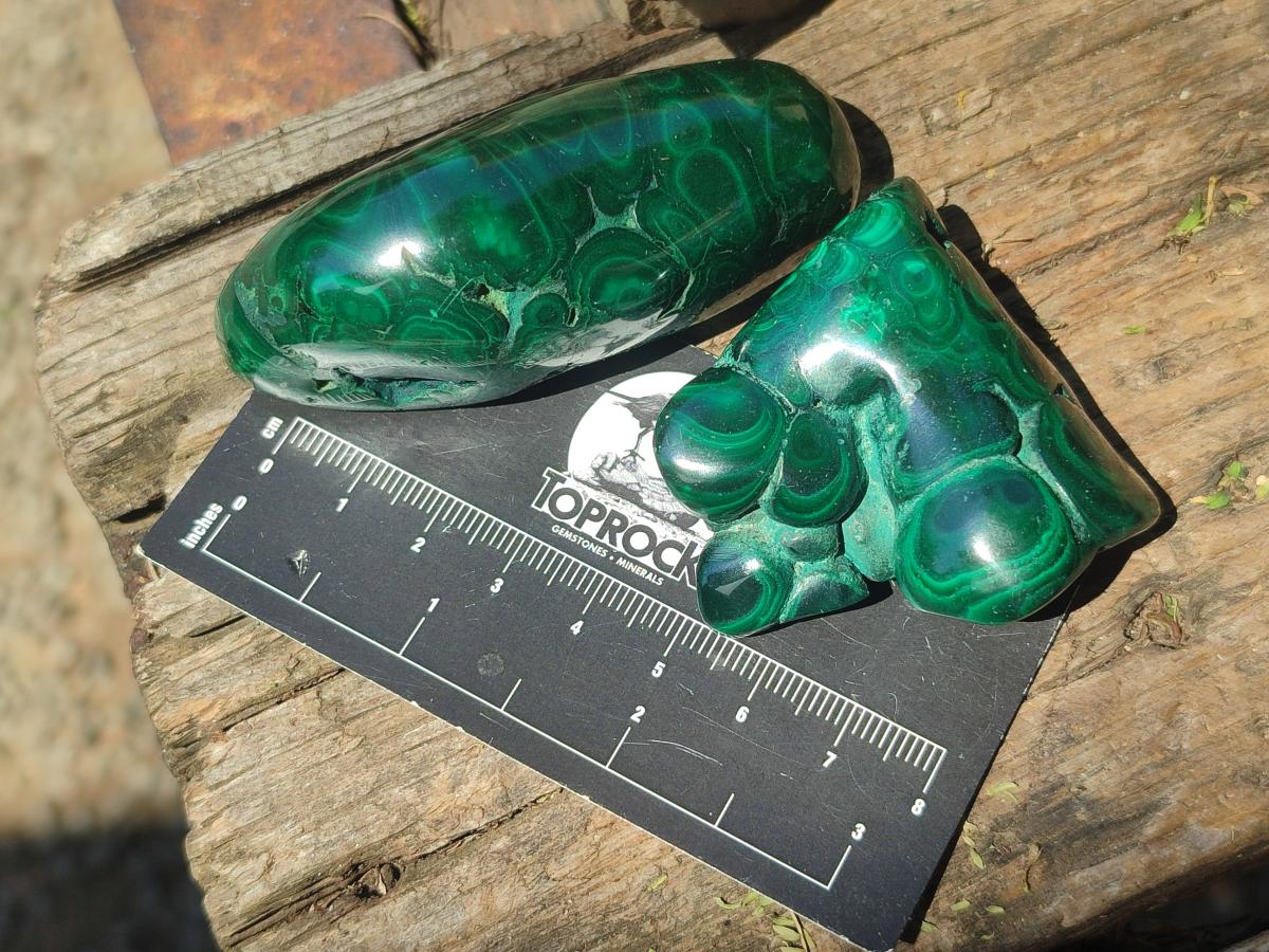 Polished and Natural Flower Banded Malachite Free Forms x 13 From Congo - Toprock Gemstones and Minerals 