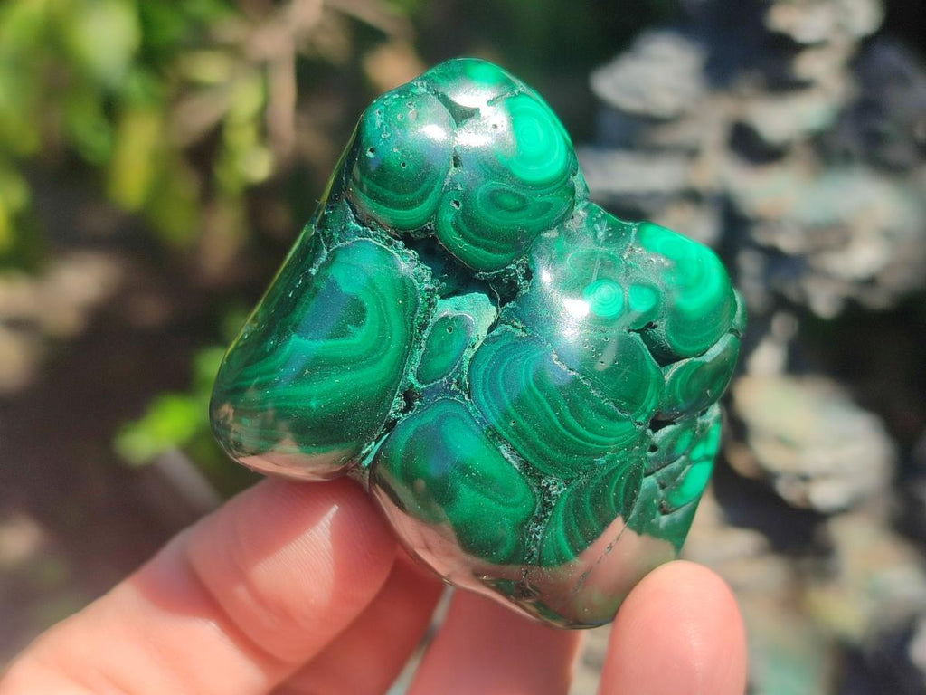 Polished and Natural Flower Banded Malachite Free Forms x 13 From Congo - Toprock Gemstones and Minerals 