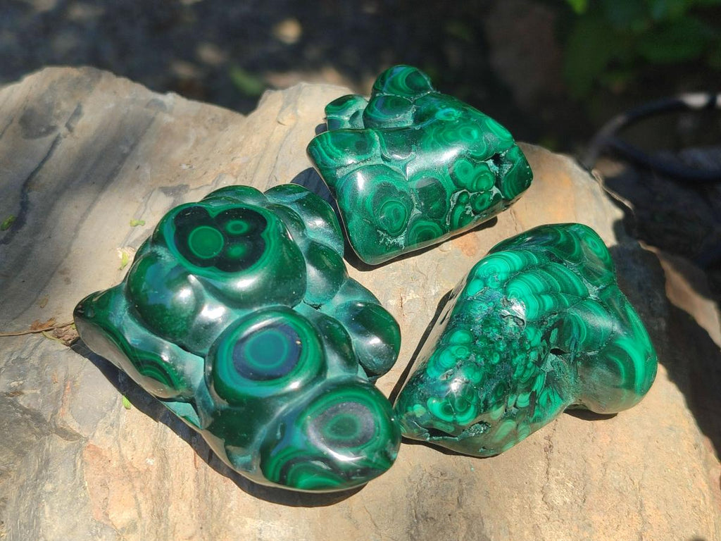 Polished and Natural Flower Banded Malachite Free Forms x 13 From Congo - Toprock Gemstones and Minerals 