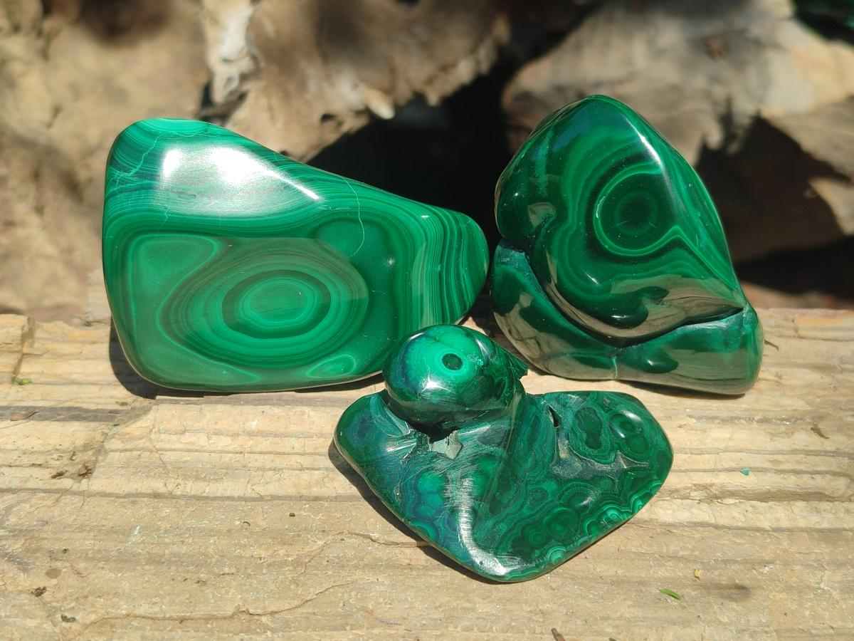 Polished and Natural Flower Banded Malachite Free Forms x 13 From Congo - Toprock Gemstones and Minerals 