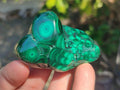 Polished and Natural Flower Banded Malachite Free Forms x 13 From Congo - Toprock Gemstones and Minerals 