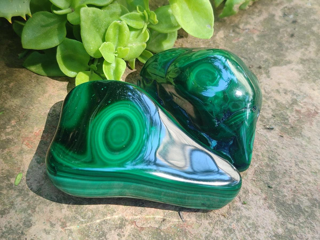 Polished and Natural Flower Banded Malachite Free Forms x 13 From Congo - Toprock Gemstones and Minerals 