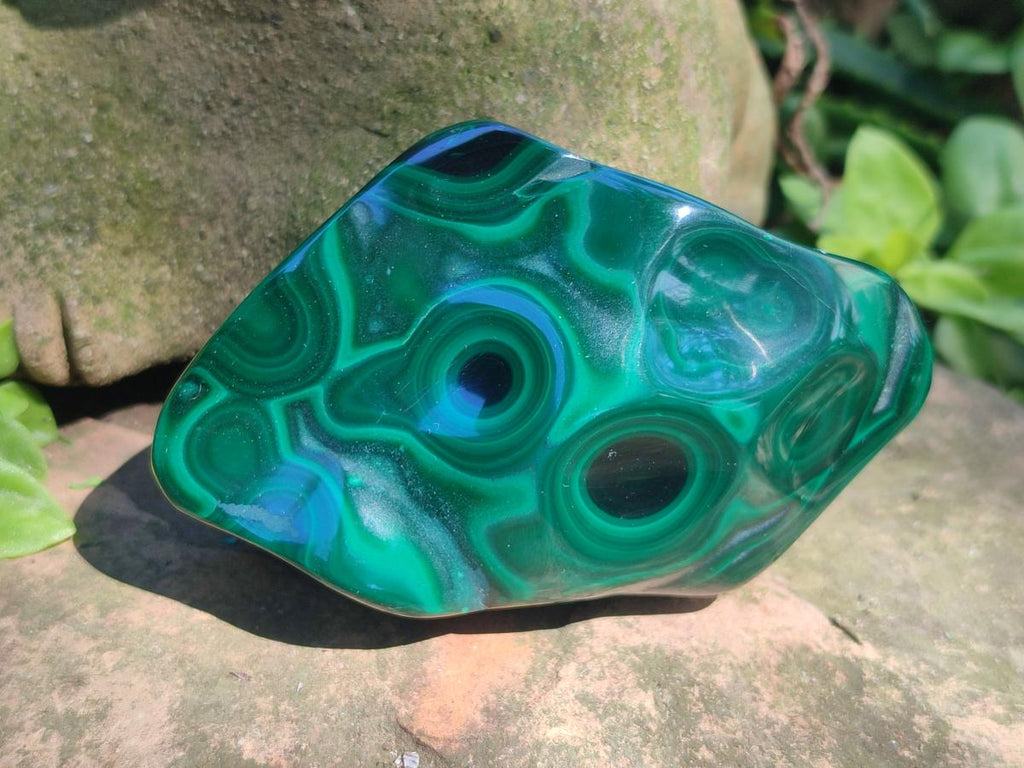 Polished and Natural Flower Banded Malachite Free Forms x 13 From Congo - Toprock Gemstones and Minerals 