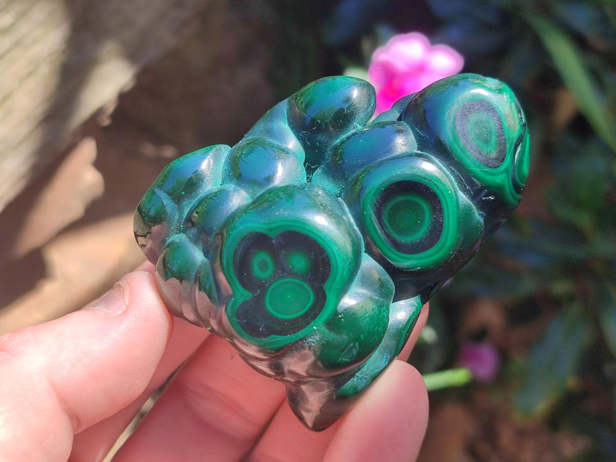 Polished and Natural Flower Banded Malachite Free Forms x 13 From Congo - Toprock Gemstones and Minerals 