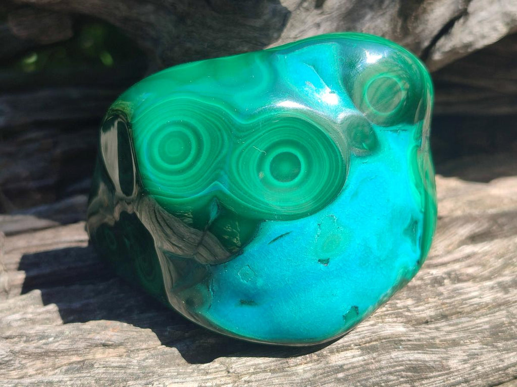 Polished and Natural Flower Banded Malachite Free Forms x 13 From Congo - Toprock Gemstones and Minerals 
