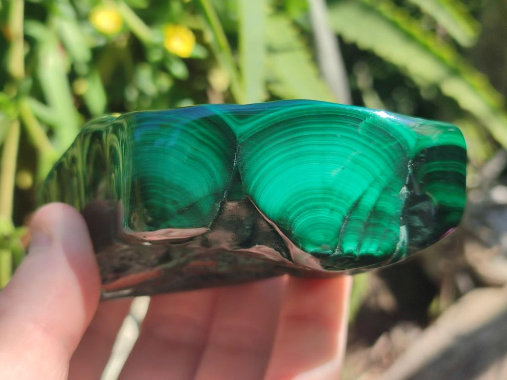 Polished and Natural Flower Banded Malachite Free Forms x 13 From Congo - Toprock Gemstones and Minerals 