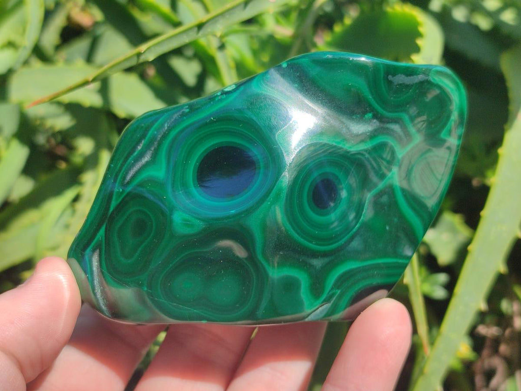 Polished and Natural Flower Banded Malachite Free Forms x 13 From Congo - Toprock Gemstones and Minerals 