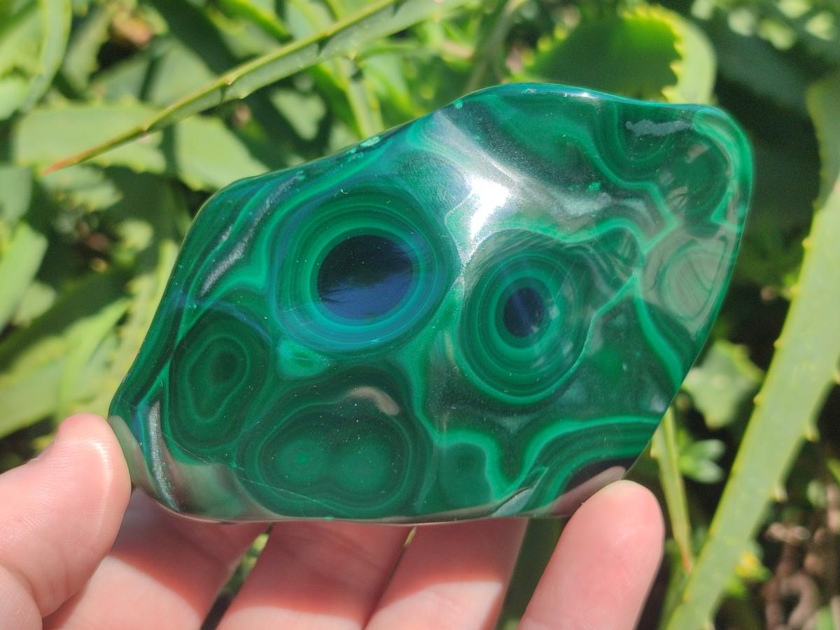 Polished and Natural Flower Banded Malachite Free Forms x 13 From Congo - Toprock Gemstones and Minerals 