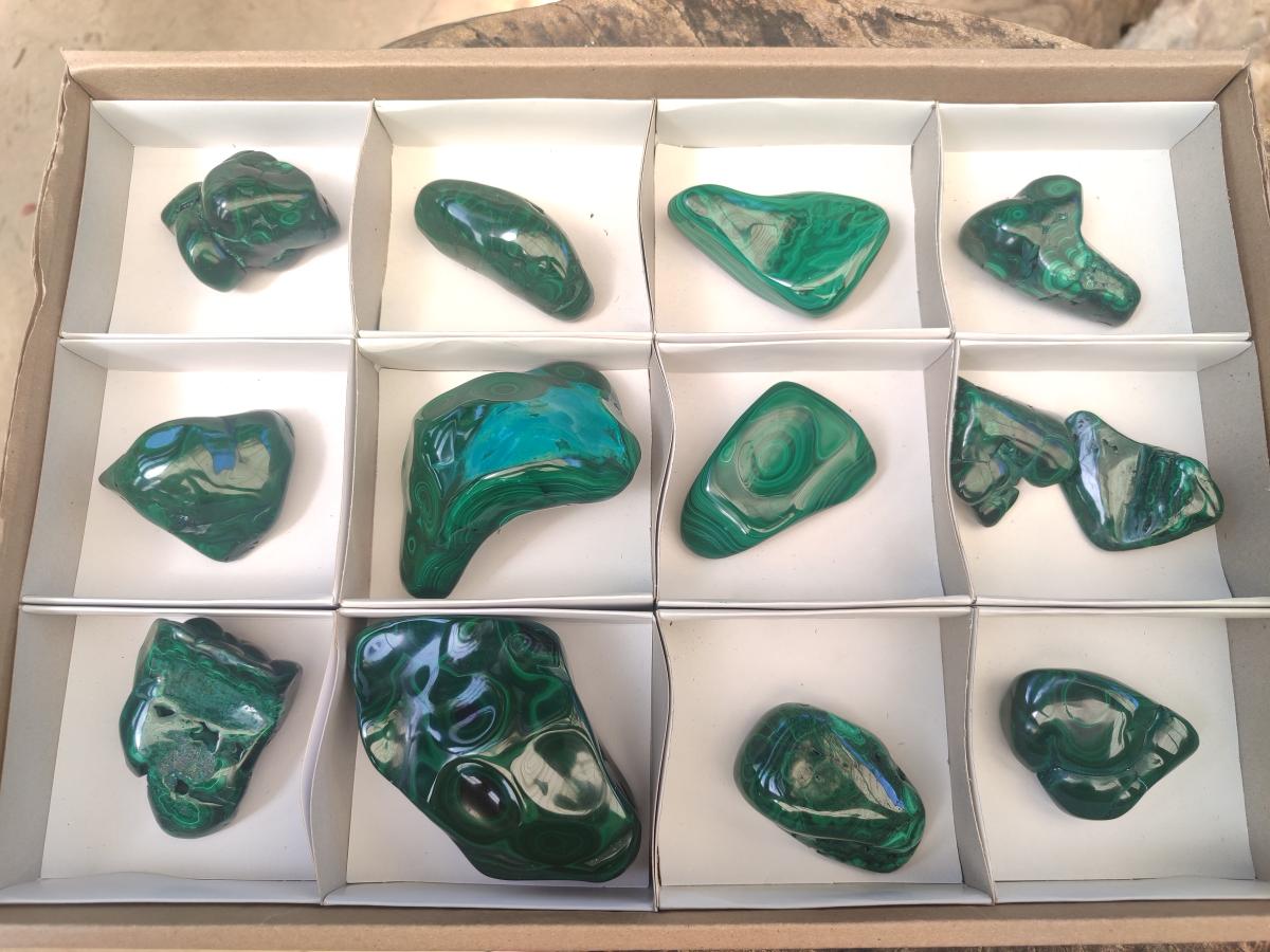 Polished and Natural Flower Banded Malachite Free Forms x 13 From Congo - Toprock Gemstones and Minerals 