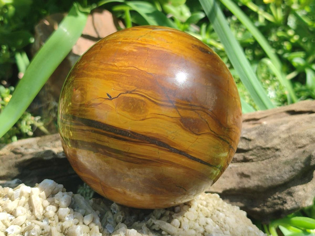 Polished Large Picture Stone Jasper Spheres x 2 From Namibia - Toprock Gemstones and Minerals 