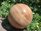 Polished Large Picture Stone Jasper Spheres x 2 From Namibia - Toprock Gemstones and Minerals 
