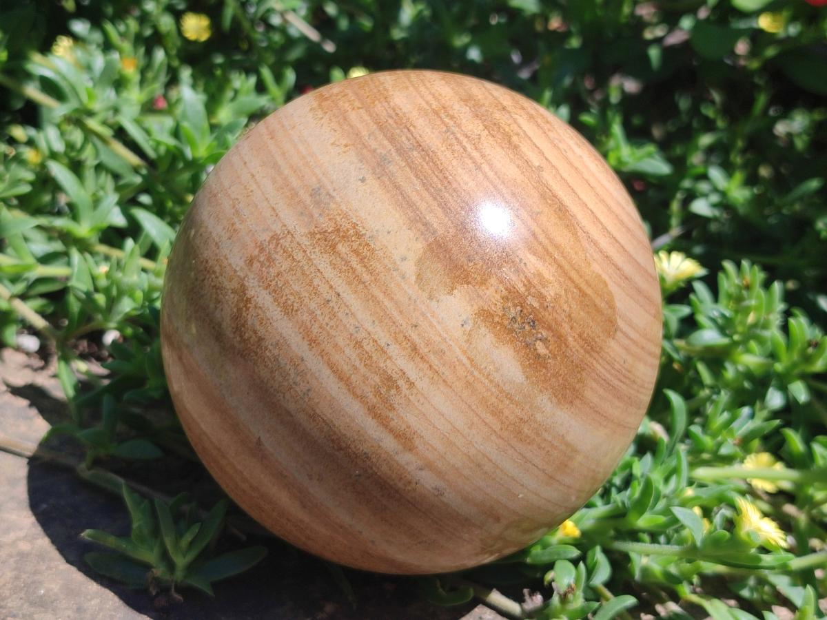 Polished Large Picture Stone Jasper Spheres x 2 From Namibia - Toprock Gemstones and Minerals 