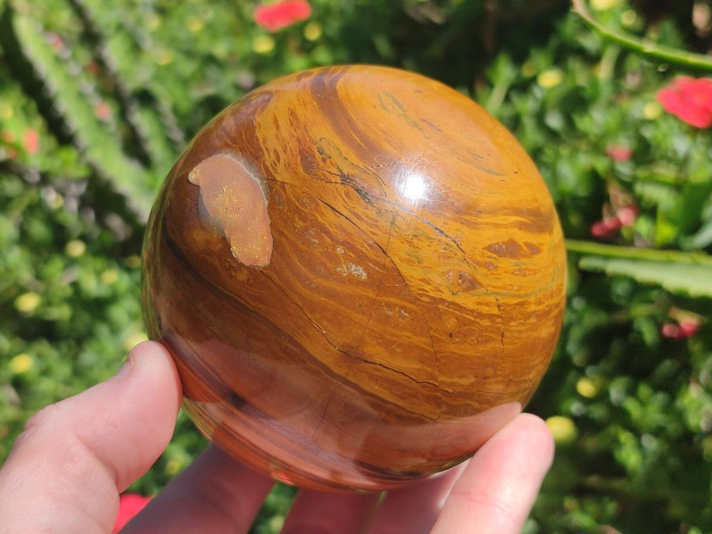 Polished Large Picture Stone Jasper Spheres x 2 From Namibia - Toprock Gemstones and Minerals 