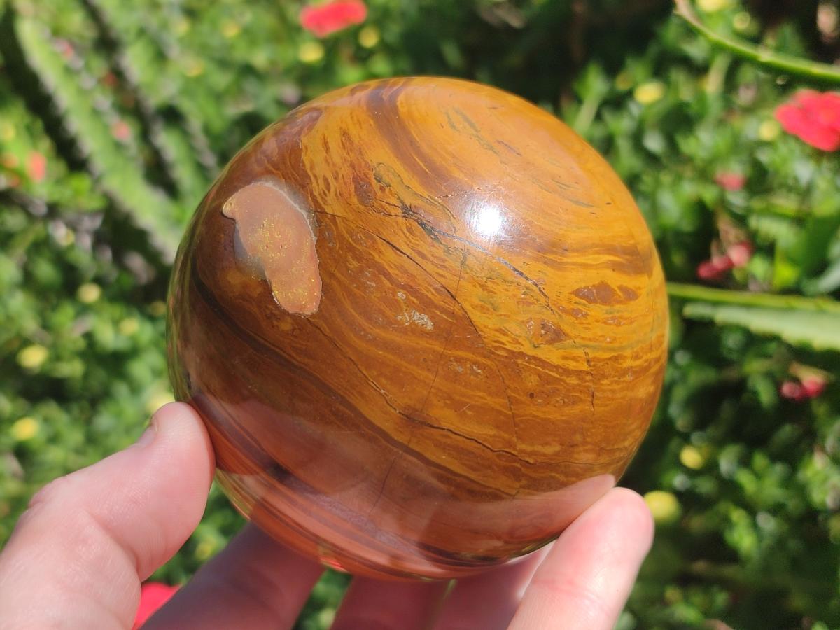Polished Large Picture Stone Jasper Spheres x 2 From Namibia - Toprock Gemstones and Minerals 