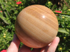 Polished Large Picture Stone Jasper Spheres x 2 From Namibia - Toprock Gemstones and Minerals 