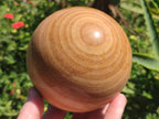 Polished Large Picture Stone Jasper Spheres x 2 From Namibia - Toprock Gemstones and Minerals 