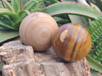 Polished Large Picture Stone Jasper Spheres x 2 From Namibia - Toprock Gemstones and Minerals 