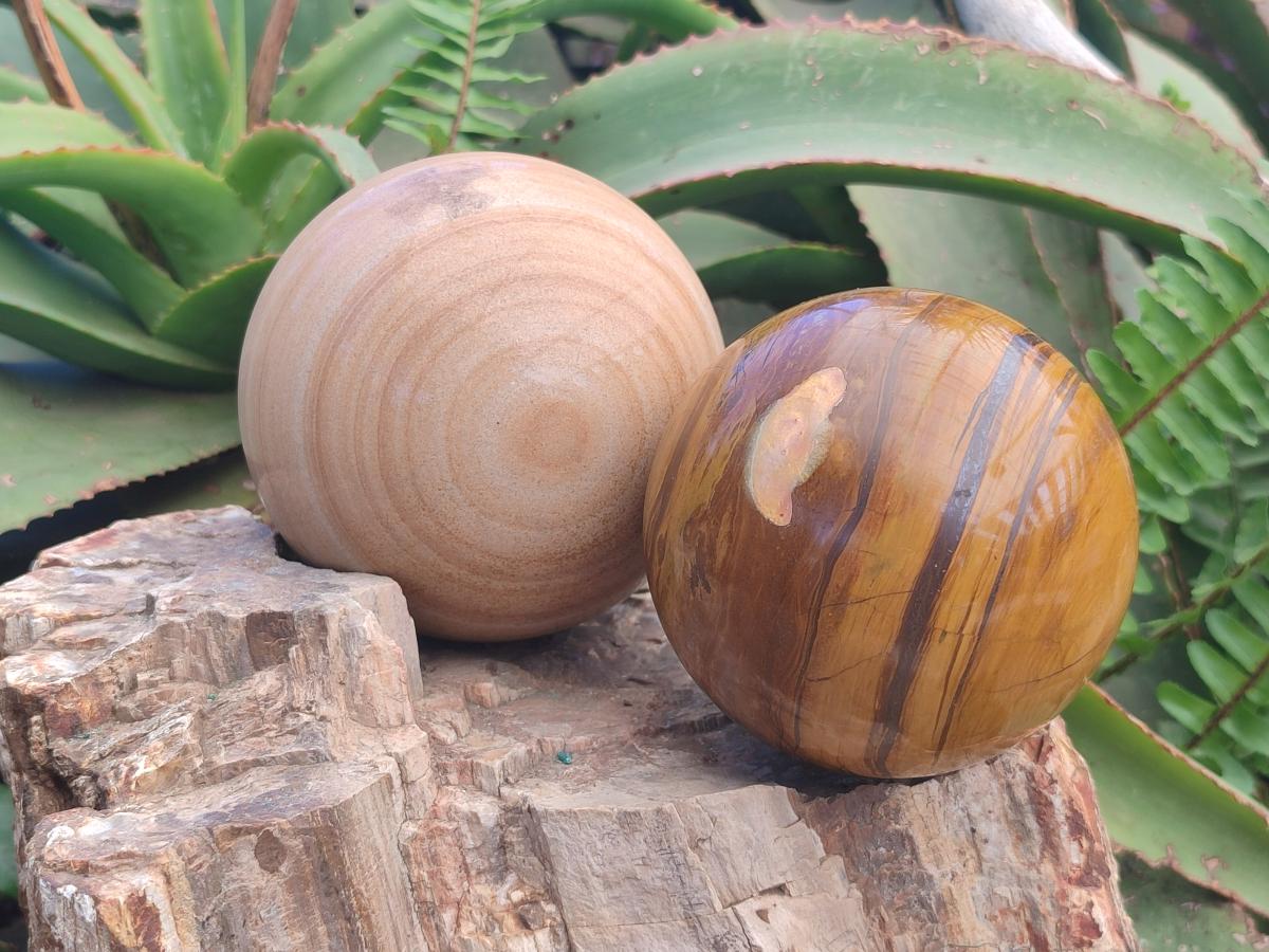 Polished Large Picture Stone Jasper Spheres x 2 From Namibia - Toprock Gemstones and Minerals 