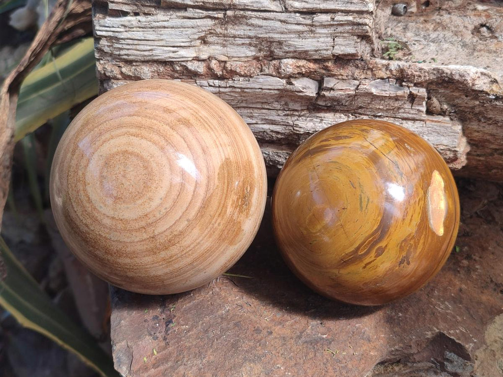 Polished Large Picture Stone Jasper Spheres x 2 From Namibia - Toprock Gemstones and Minerals 
