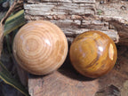 Polished Large Picture Stone Jasper Spheres x 2 From Namibia - Toprock Gemstones and Minerals 