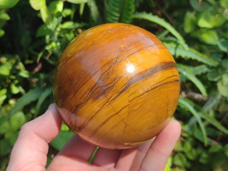 Polished Large Picture Stone Jasper Spheres x 2 From Namibia - Toprock Gemstones and Minerals 
