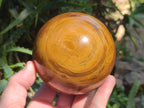 Polished Large Picture Stone Jasper Spheres x 2 From Namibia - Toprock Gemstones and Minerals 